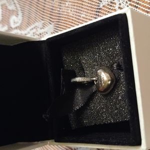Pandora charm